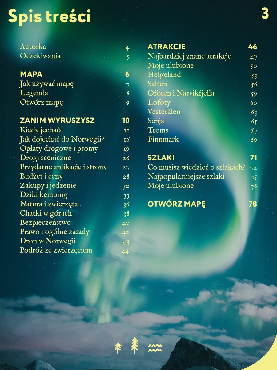 Podgląd e-booka
