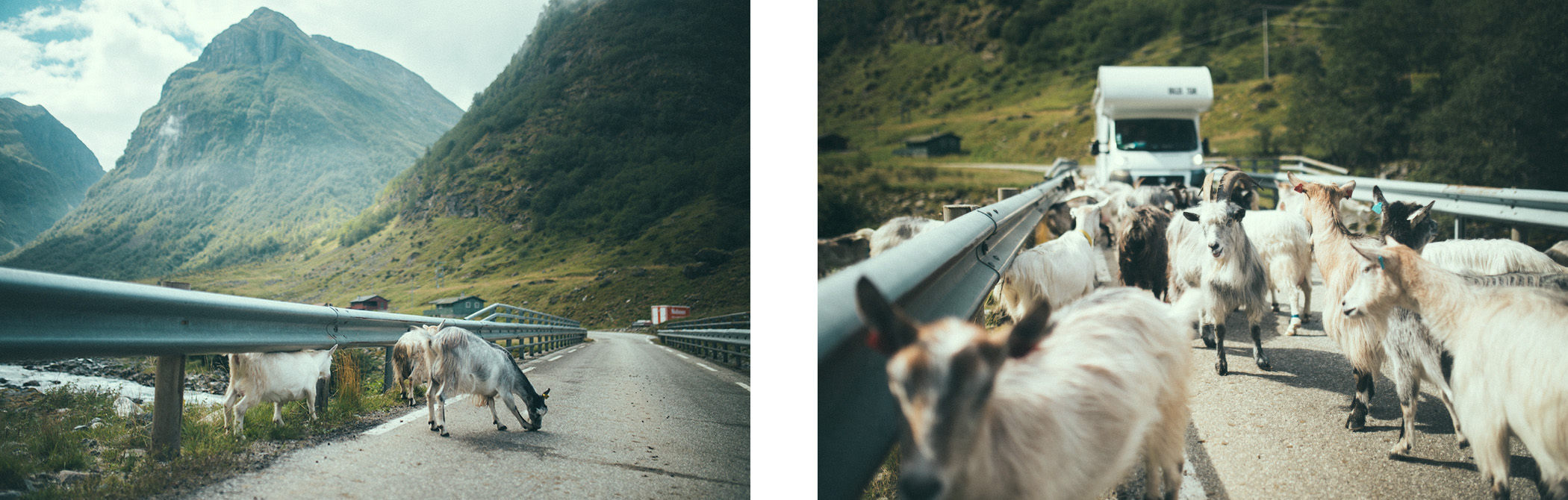 kozy w Undredal, Norwegia