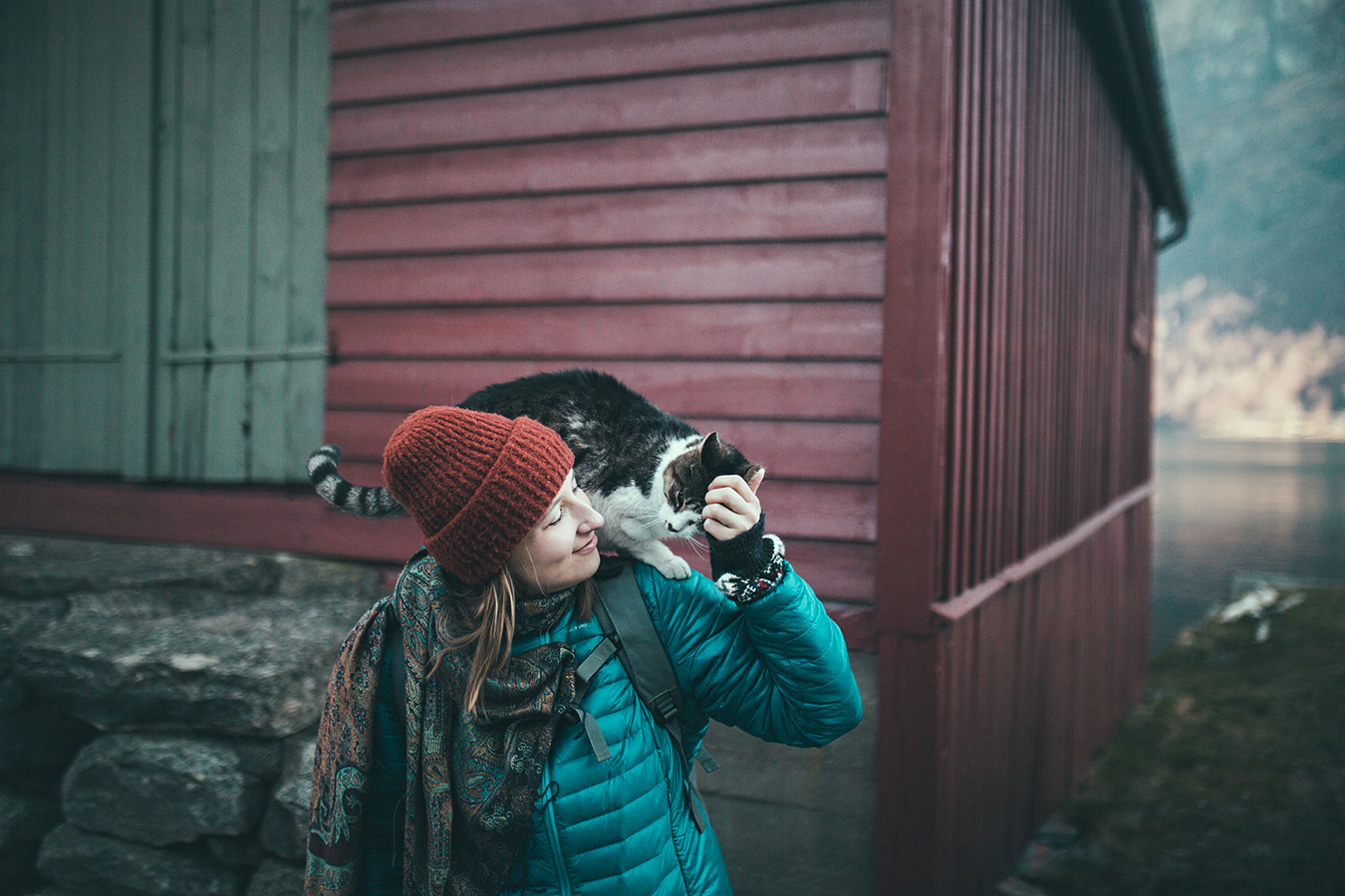 kot w Undredal, Norwegia