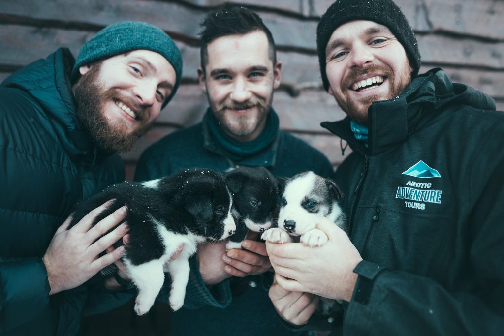 Husky puppies, Arctic Adventure Tours